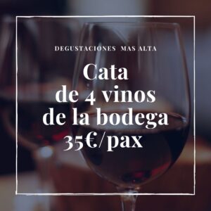 Cata 4 vinos de la bodega