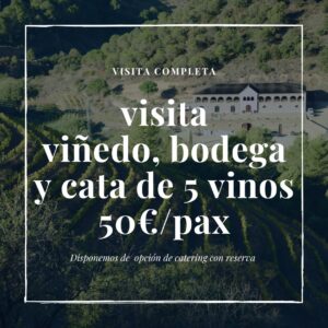 Visita viñedos bodega y cata de 5 vinos